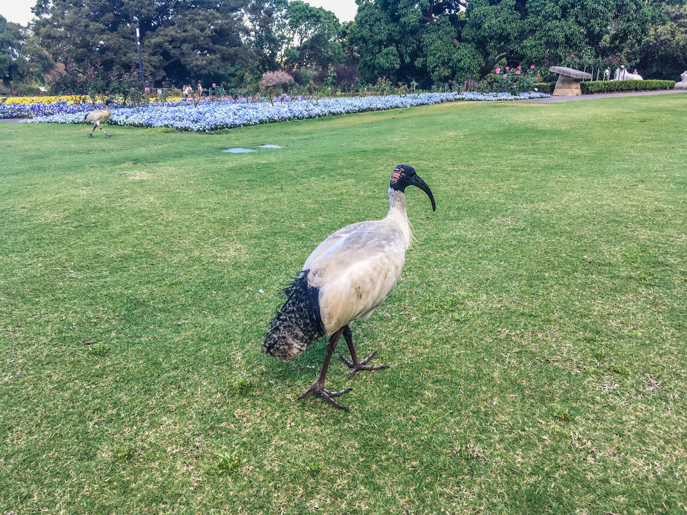 433761C3-C936-4B13-A380-A04FBB834384