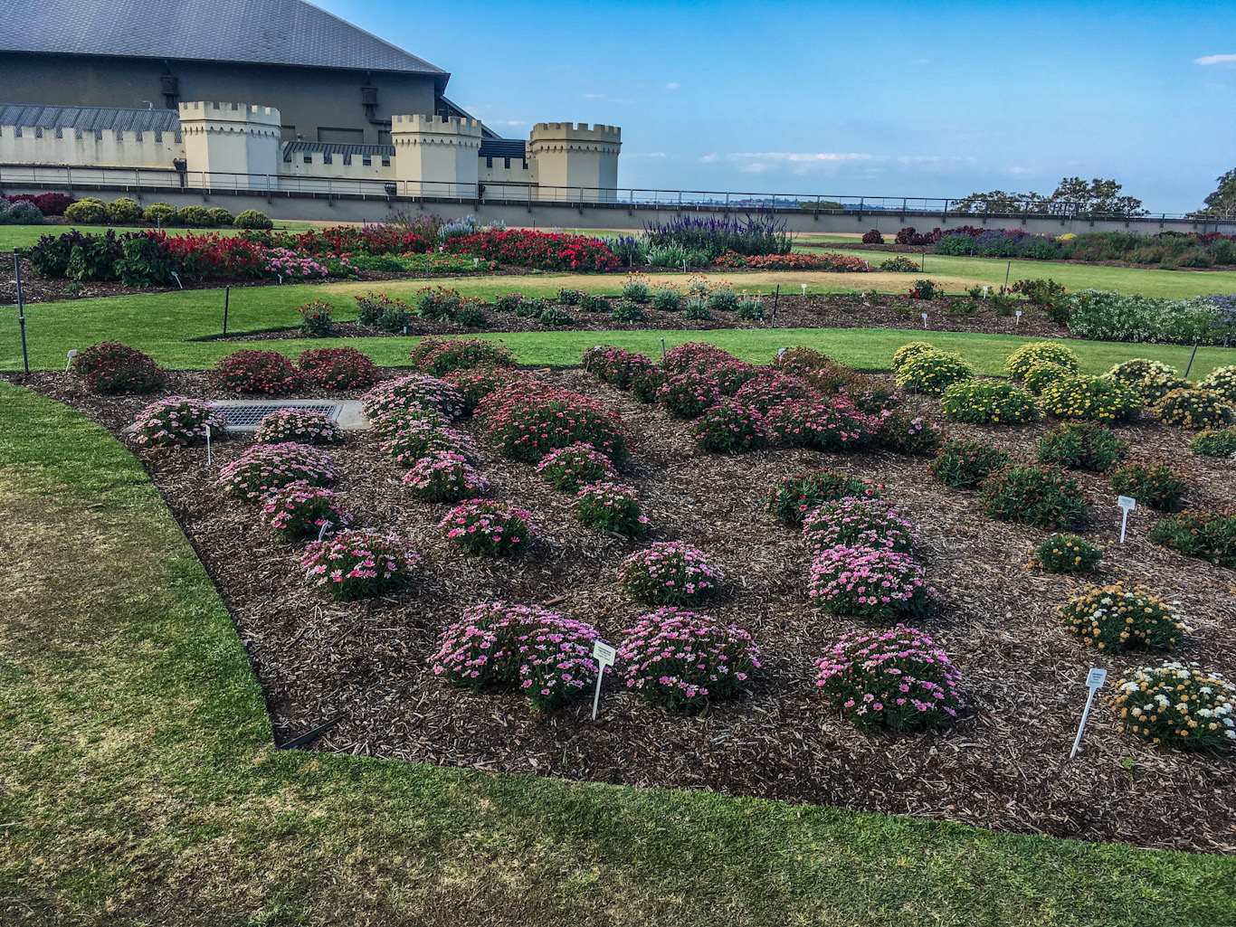 707C9EAE-9152-42C2-B42D-8F949E4D6B5F