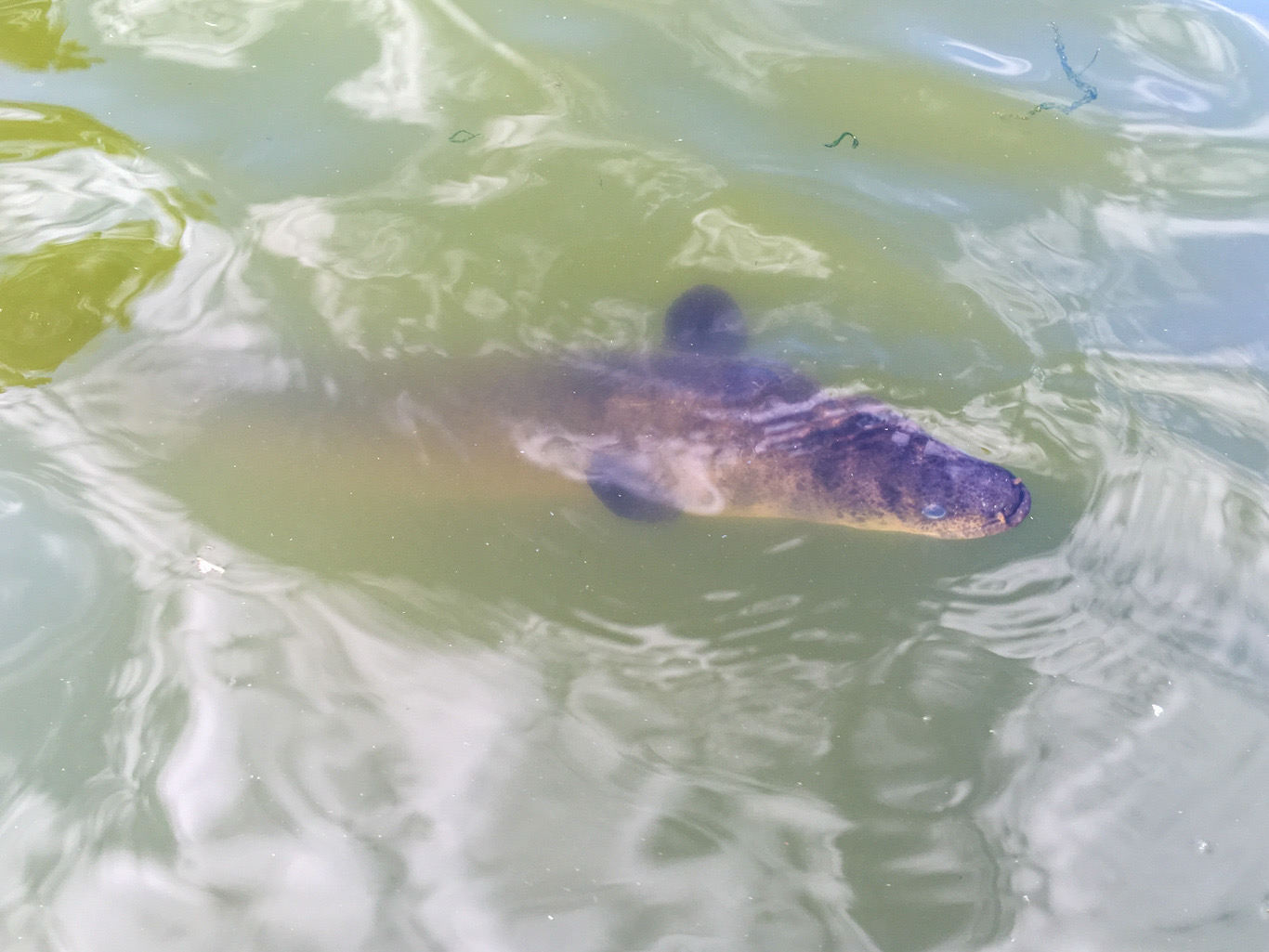 A57150EE-8429-4522-A25D-0BE8117DE9A5