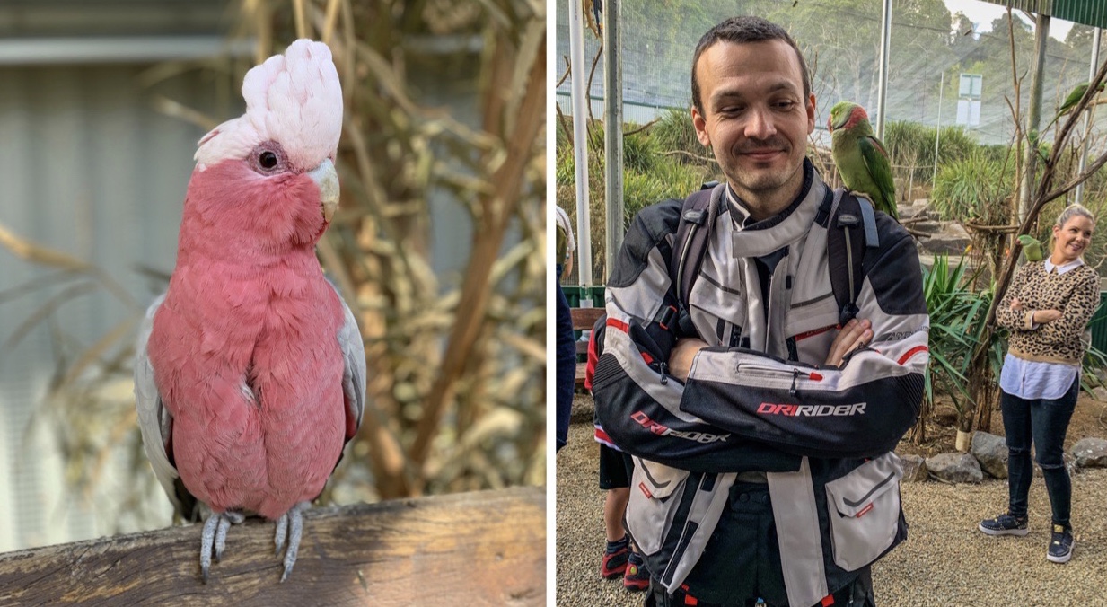 1F57FB34-73C5-4449-B7AB-436E13C8FE4A