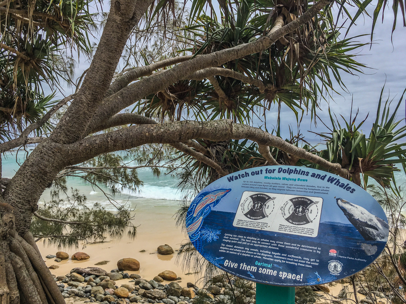 200CFD1D-97D6-433B-955D-A6DA462FA09F