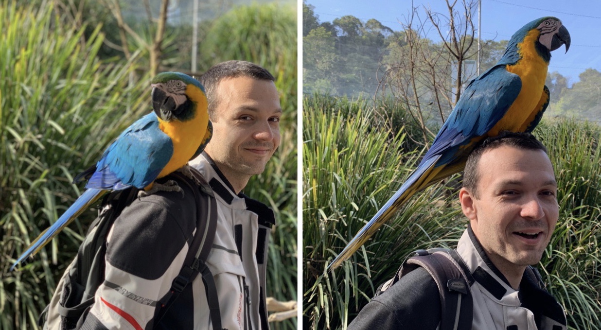 397D7F92-6773-4519-B172-97B59EFACA19