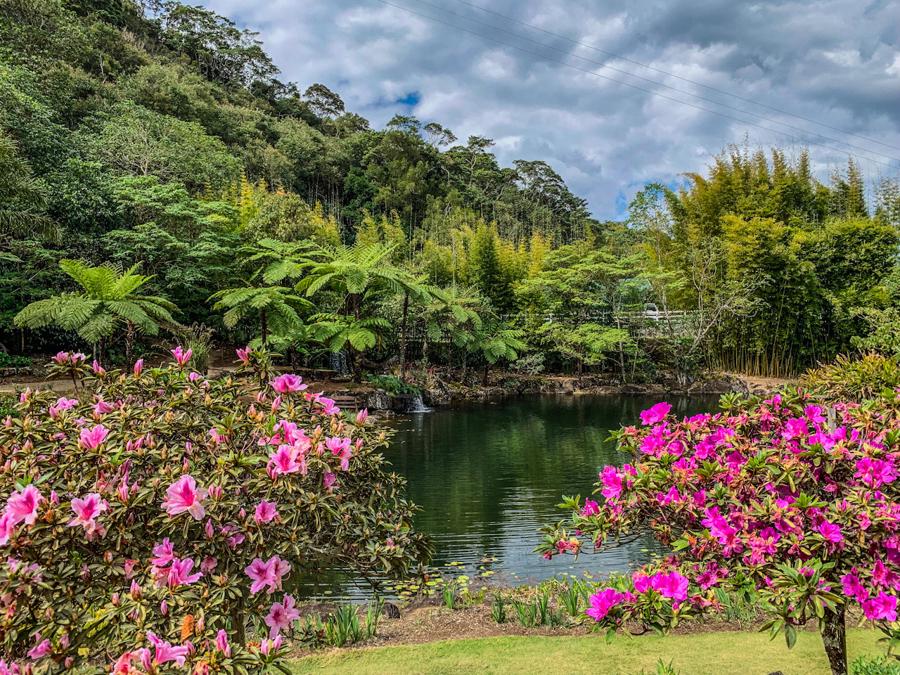 5CC28B91-3F07-4AFA-B04F-806DE20DE7BA