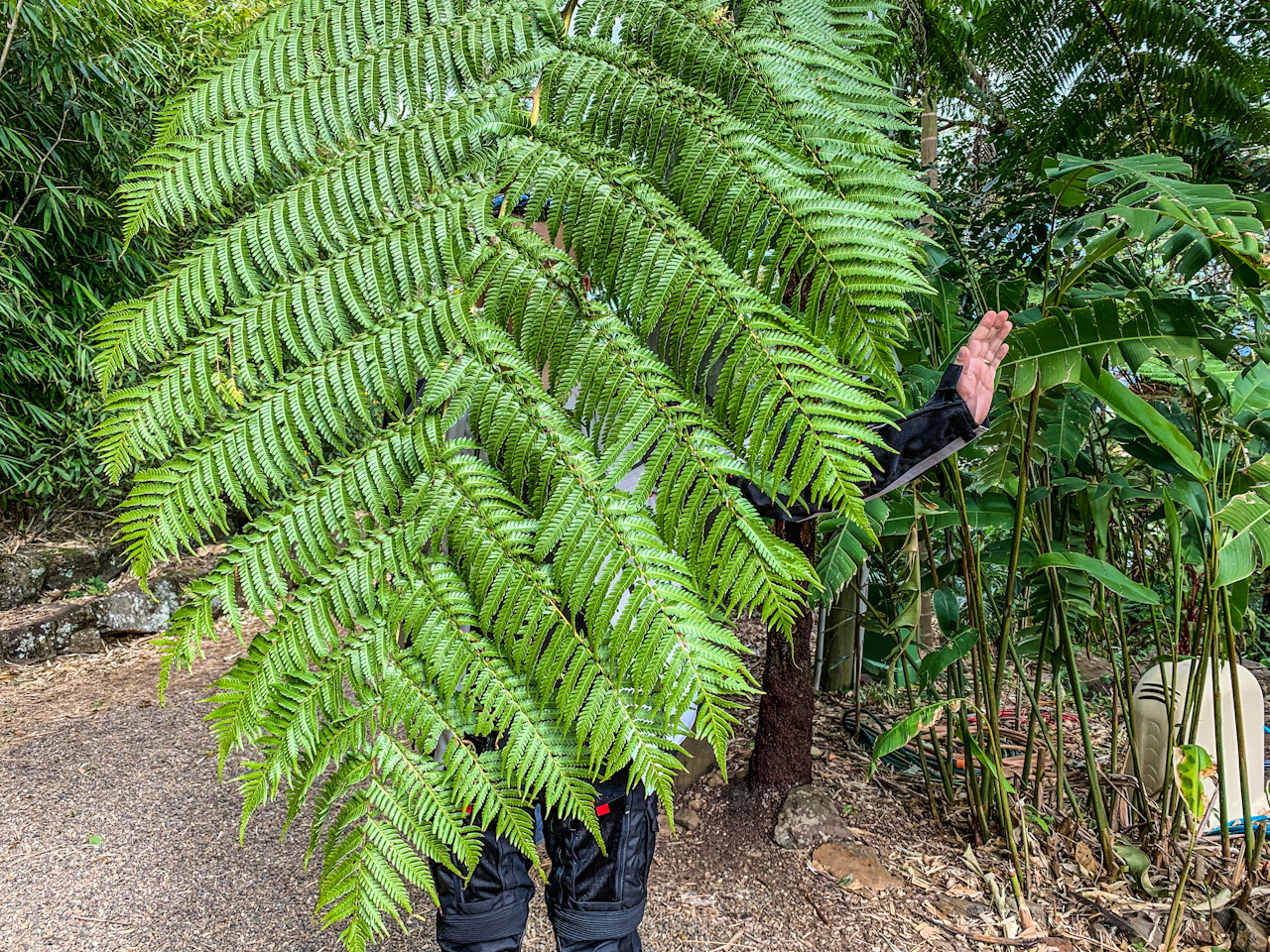 8BC26D6A-6AB2-46EC-8FEC-9275698827DF