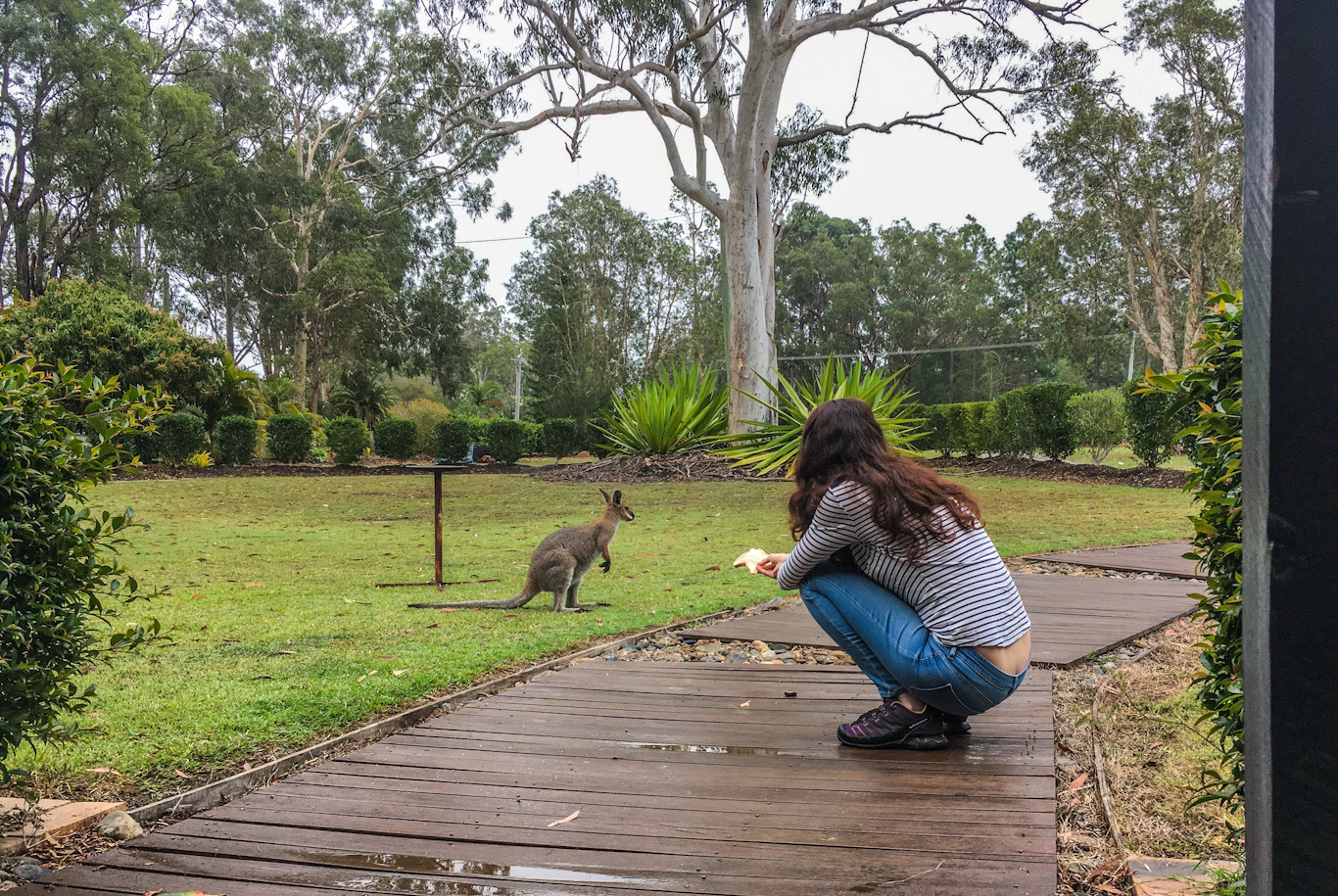 EF988CEA-DCCC-4CDE-9EEC-D07E90E22B24